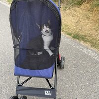 Travel lite pet outlet stroller